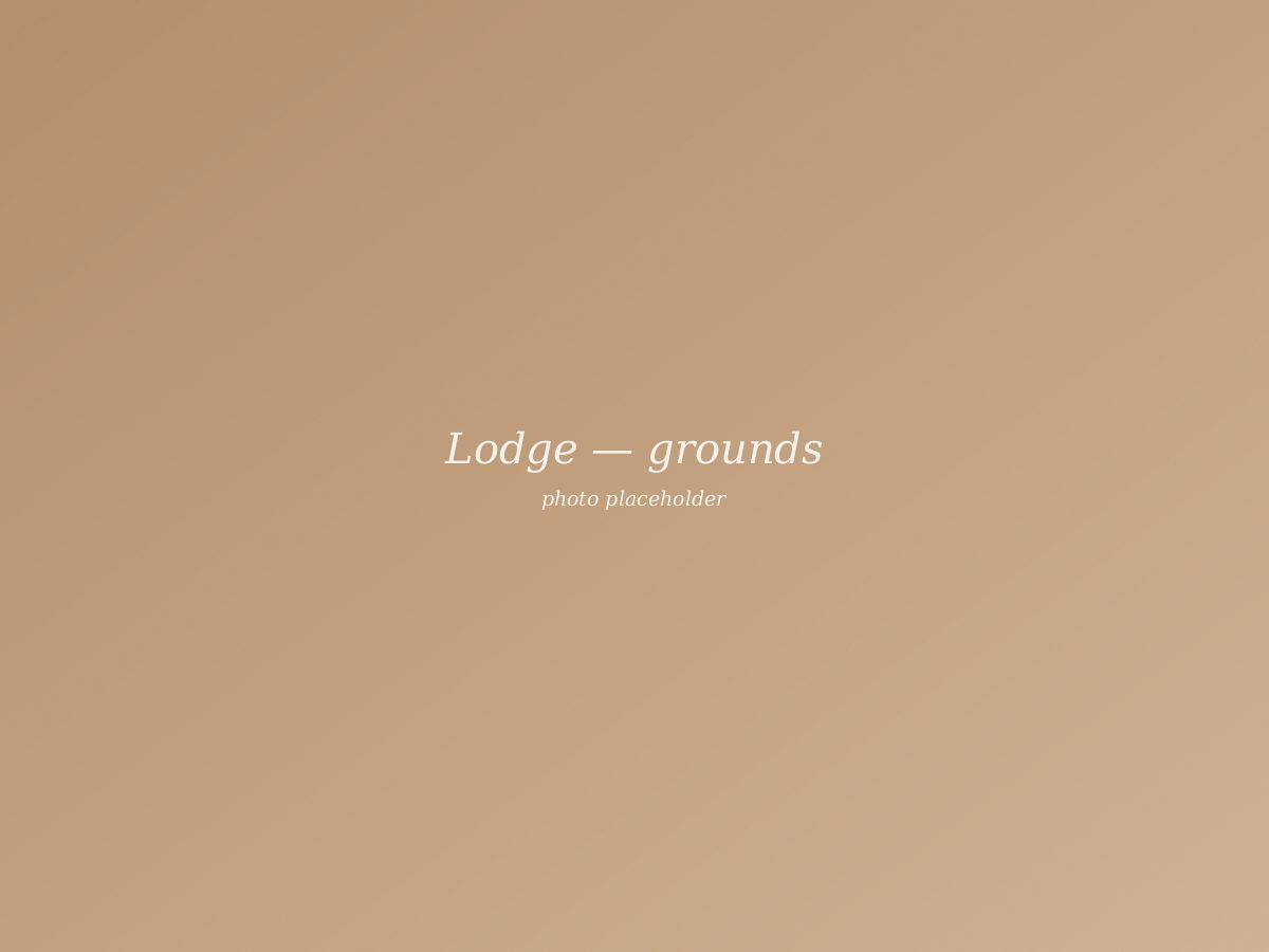 The Grounds